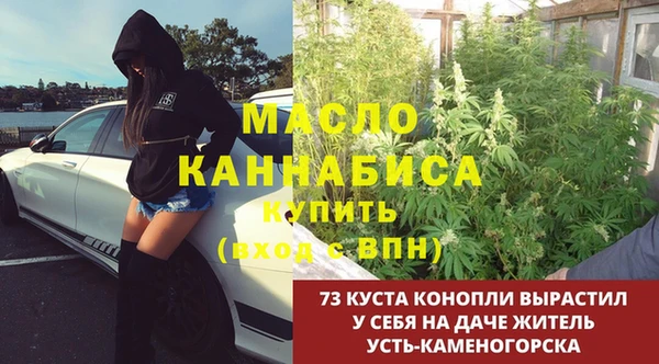 стаф Богданович