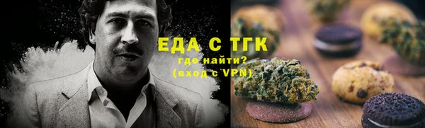 стаф Богданович