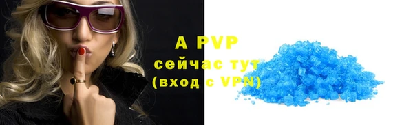 стаф Богданович