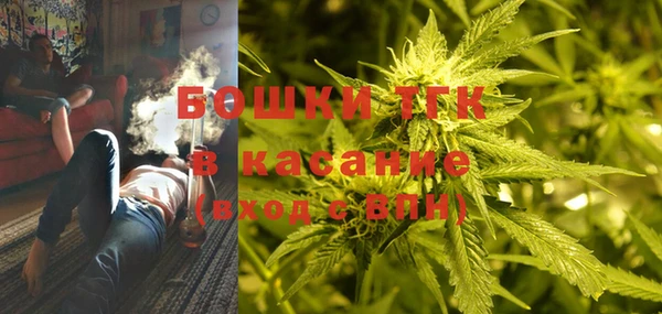 стаф Богданович