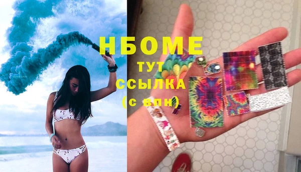 стаф Богданович