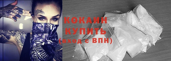 стаф Богданович